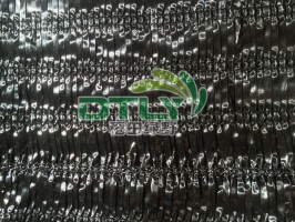 人参菠萝视频污在线观看
